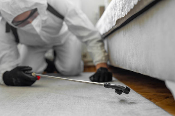 Professional Bed Bug Control technician working in West Laurel, MD